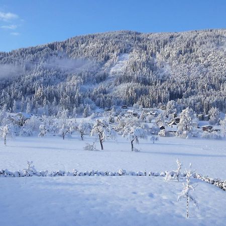 Apartment-Ferienwohnung 3 Treffen Am Ossiachersee Bagian luar foto