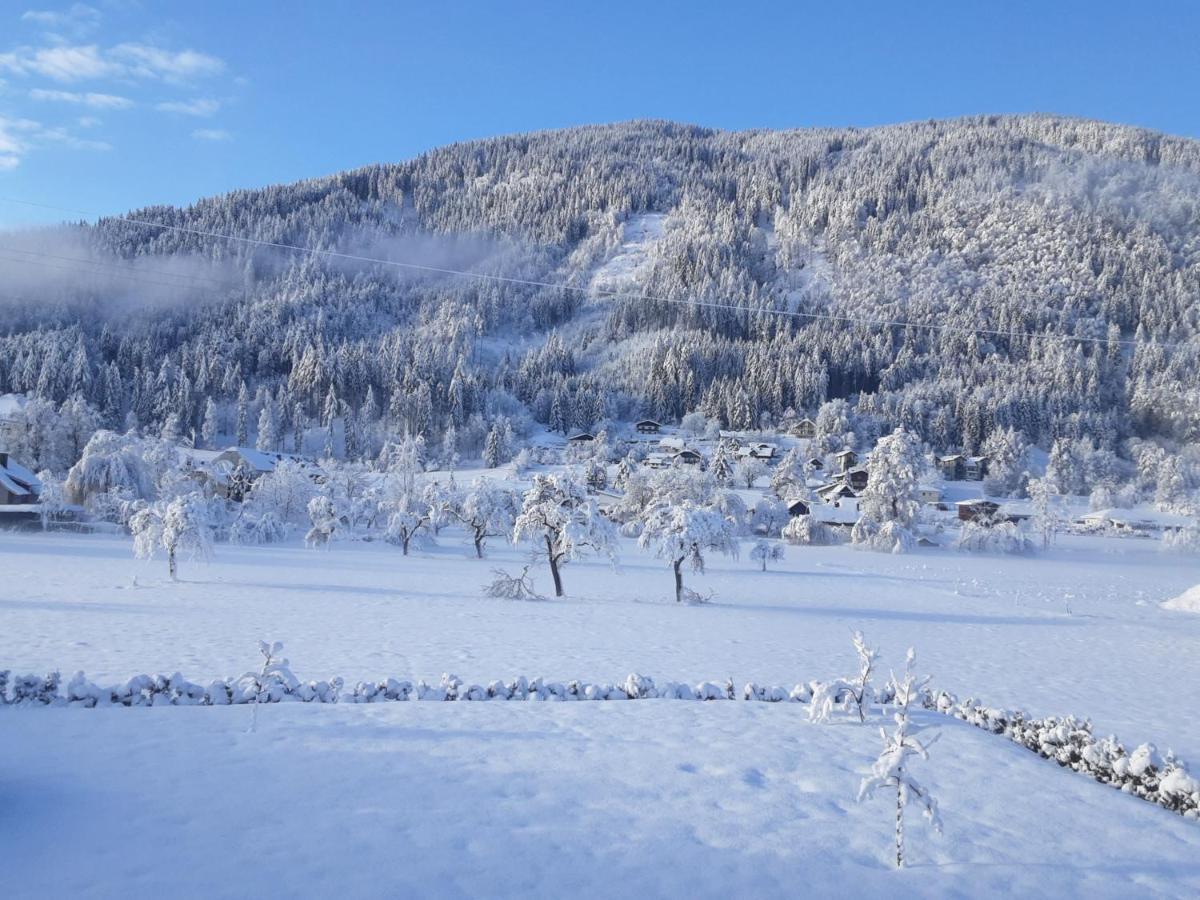 Apartment-Ferienwohnung 3 Treffen Am Ossiachersee Bagian luar foto